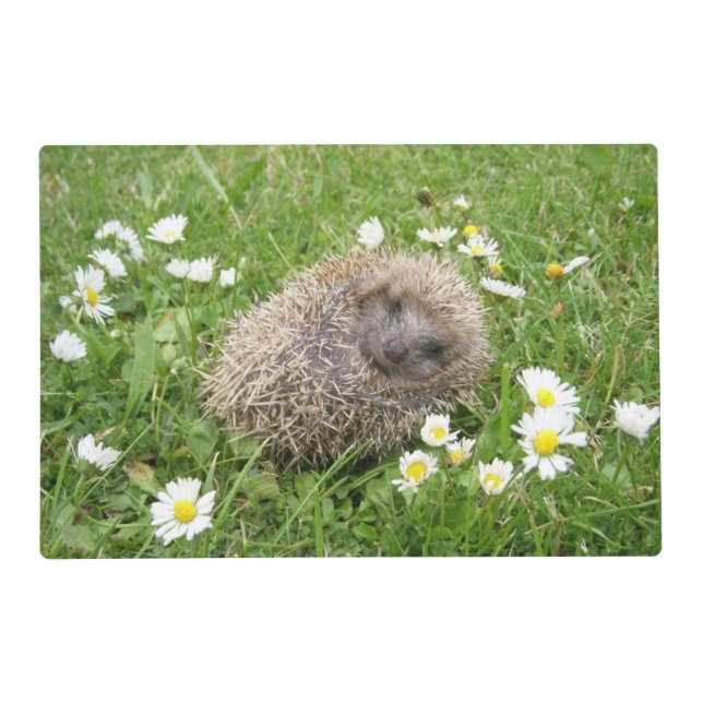 Cutest Baby Animals | Spanish Hedgehog Placemat (Front)