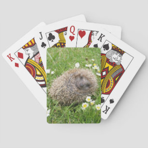 Cutest Baby Animals Spanish Hedgehog Poker Cards
