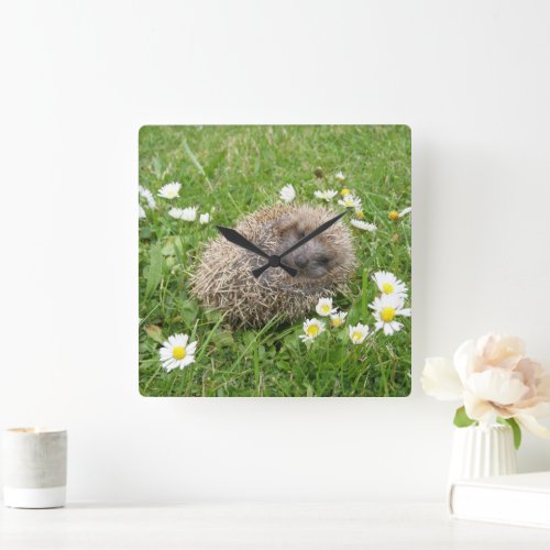 Cutest Baby Animals  Spanish Hedgehog Square Wall Clock