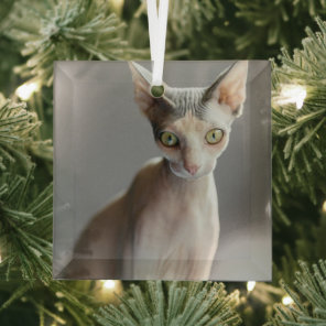 Cutest Baby Animals | Sphinx Cat Glass Ornament