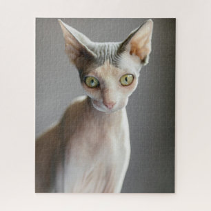 Cutest Baby Animals   Sphinx Cat Jigsaw Puzzle