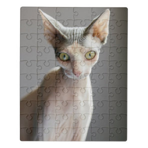 Cutest Baby Animals | Sphinx Cat Jigsaw Puzzle