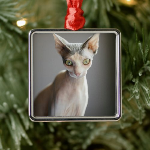 Cutest Baby Animals  Sphinx Cat Metal Ornament