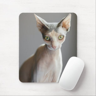 Cutest Baby Animals Sphinx Cat Mouse Pad