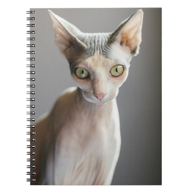 Cutest Baby Animals | Sphinx Cat Notebook (Front)