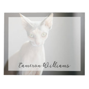 Cutest Baby Animals | Sphinx Cat Notepad
