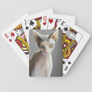 Cutest Baby Animals | Sphinx Cat Playing Cards