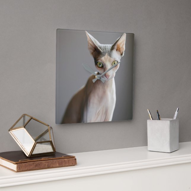 Cutest Baby Animals | Sphinx Cat Square Wall Clock (Office)