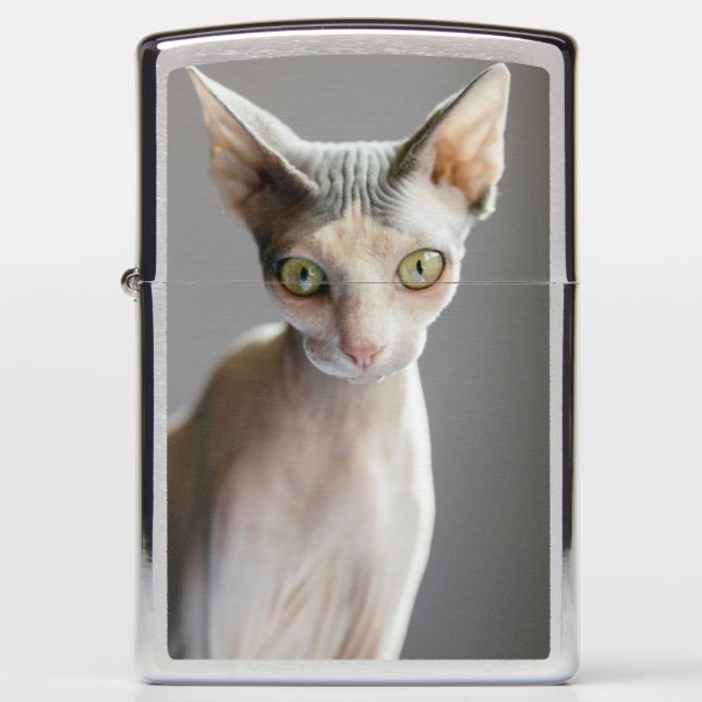 Cutest Baby Animals | Sphinx Cat Zippo Lighter (Front)
