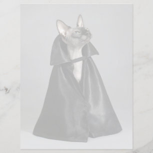 Cutest Baby Animals Sphynx Hairless Cat