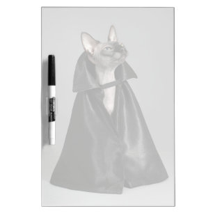 Cutest Baby Animals   Sphynx Hairless Cat Dry Erase Board