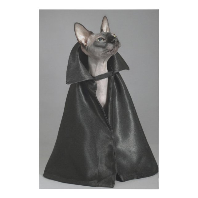 Cutest Baby Animals | Sphynx Hairless Cat Faux Canvas Print (Front)