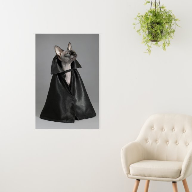 Cutest Baby Animals | Sphynx Hairless Cat Foam Board (In Situ (Wall))