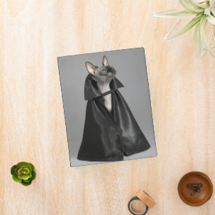 Cutest Baby Animals   Sphynx Hairless Cat Mini Binder