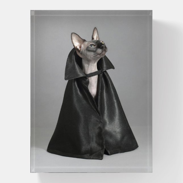 Cutest Baby Animals | Sphynx Hairless Cat Paperweight (Vertical)