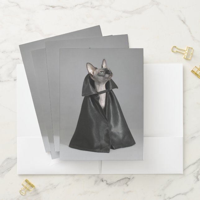 Cutest Baby Animals | Sphynx Hairless Cat Pocket Folder (In Situ)