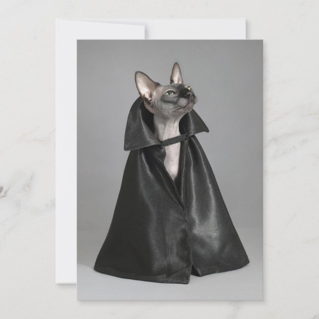 Cutest Baby Animals | Sphynx Hairless Cat Thank You Card (Front)