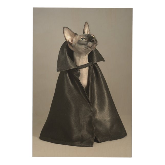 Cutest Baby Animals | Sphynx Hairless Cat Wood Wall Art (Front)