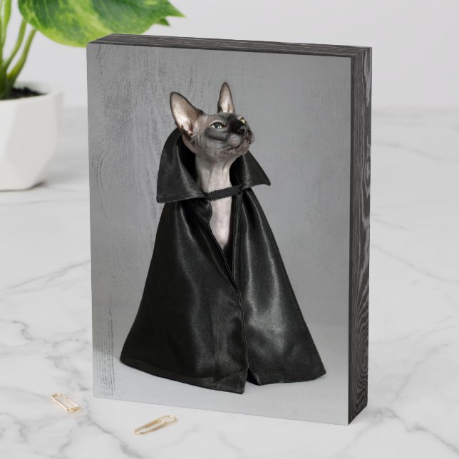 Cutest Baby Animals | Sphynx Hairless Cat Wooden Box Sign (In Situ Vertical)