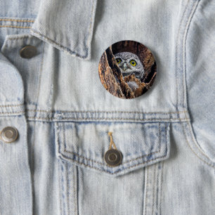 Cutest Baby Animals Spotted Owlet Button