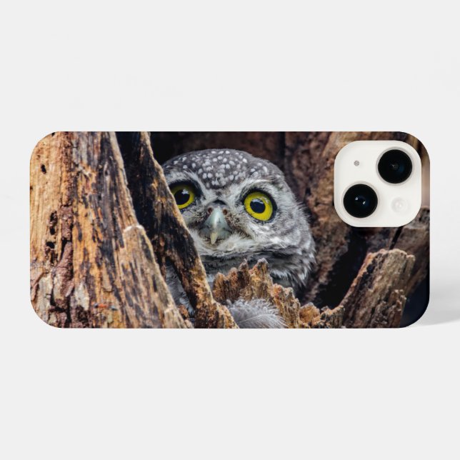 Cutest Baby Animals | Spotted Owlet iPhone Case (Back Horizontal)