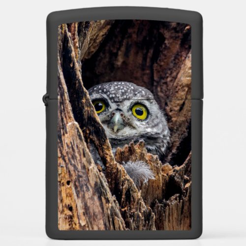 Cutest Baby Animals  Spotted Owlet Zippo Lighter