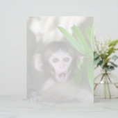 Cutest Baby Animals | Surprised Snow Monkey (Standing Front)