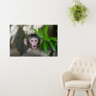 Cutest Baby Animals Surprised Snow Monkey Foam Board
