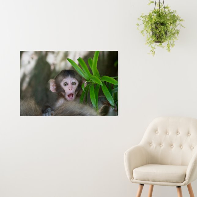 Cutest Baby Animals | Surprised Snow Monkey Foam Board (In Situ (Wall))