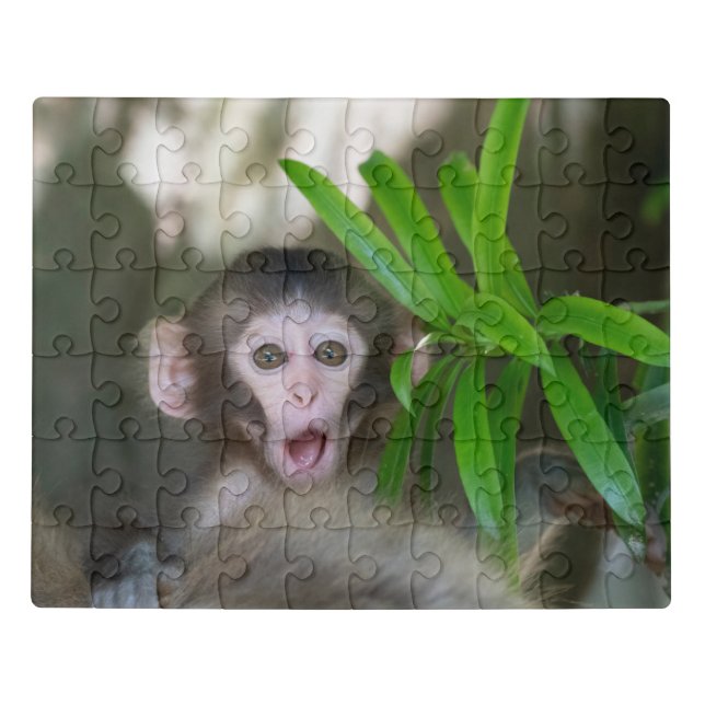 Cutest Baby Animals | Surprised Snow Monkey Jigsaw Puzzle (Puzzle Horizontal)