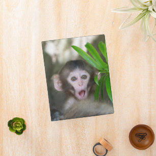 Cutest Baby Animals   Surprised Snow Monkey Mini Binder