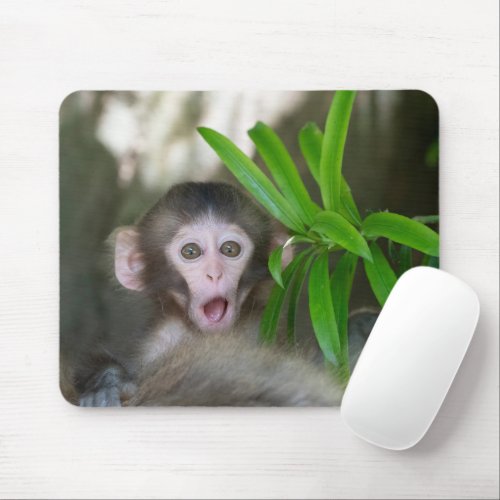 Cutest Baby Animals  Surprised Snow Monkey Mouse Pad