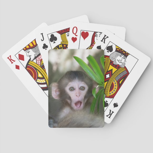 Cutest Baby Animals | Surprised Snow Monkey Poker Cards (Back)
