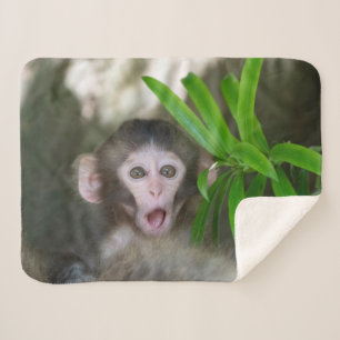 Cutest Baby Animals Surprised Snow Monkey Sherpa Blanket