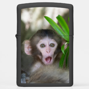 Cutest Baby Animals Surprised Snow Monkey Zippo Lighter