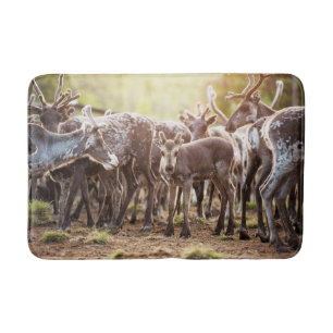 Cutest Baby Animals Svalbard Reindeer Bath Mat