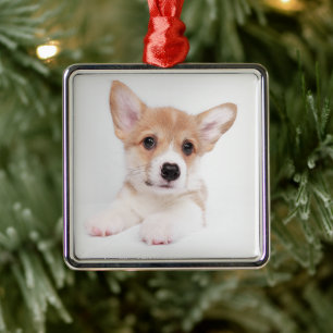 Cutest Baby Animals Sweet Baby Corgi Metal Ornament
