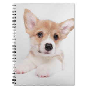 Cutest Baby Animals Sweet Baby Corgi Notebook