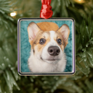 Cutest Baby Animals Sweet Corgi Puppy Face Metal Ornament