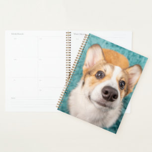 Cutest Baby Animals Sweet Corgi Puppy Face Planner