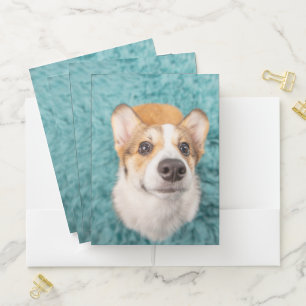 Cutest Baby Animals Sweet Corgi Puppy Face Pocket Folder