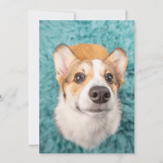 Cutest Baby Animals | Sweet Corgi Puppy Face Thank You Card (Front)