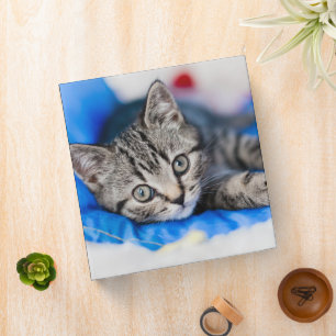 Cutest Baby Animals   Tabby Kitten in Play Tunnel 3 Ring Binder