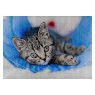 Cutest Baby Animals Tabby Kitten in Play Tunnel Cutting Board