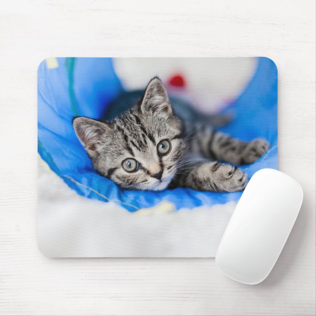 Cutest Baby Animals | Tabby Kitten in Play Tunnel Mouse Pad (With Mouse)