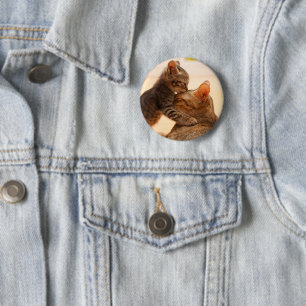 Cutest Baby Animals   Tabby Kitten Kiss Button