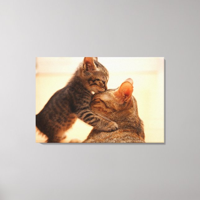 Cutest Baby Animals | Tabby Kitten Kiss Canvas Print (Front)