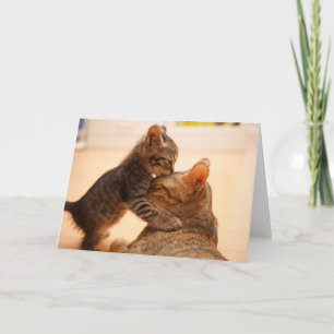 Cutest Baby Animals Tabby Kitten Kiss Card