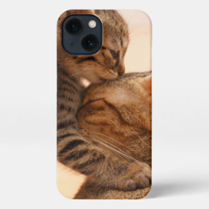 Cutest Baby Animals   Tabby Kitten Kiss iPhone 13 Case