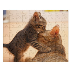 Cutest Baby Animals Tabby Kitten Kiss Jigsaw Puzzle